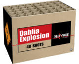 Dahlia Explosion